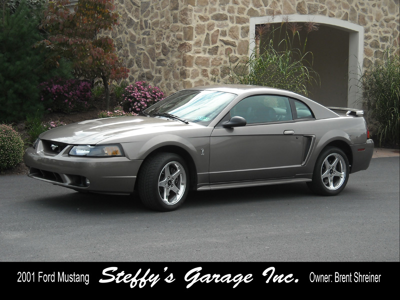 2001 ford mustang